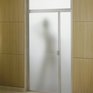 Purist® steam pivot shower door on Designer Pages