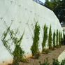 The FaçadeScape™ Green Wall System on Designer Pages